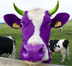 purple-cow-nancy-cooklin